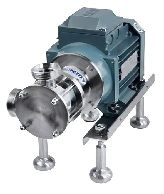 Кавалер кинг-чарльз-спаниель